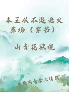 本王从不追妻火葬场（穿书）