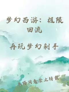 梦幻西游：极限回流