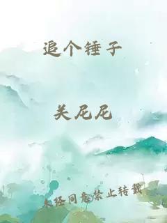 追个锤子