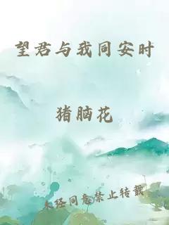 望君与我同安时