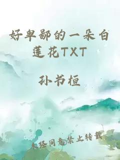 好卑鄙的一朵白莲花TXT