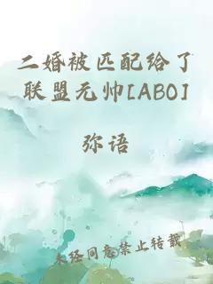 二婚被匹配给了联盟元帅[ABO]