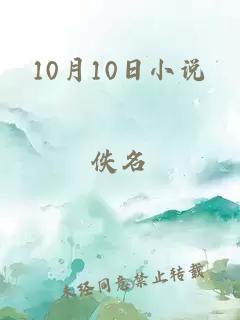 10月10日小说