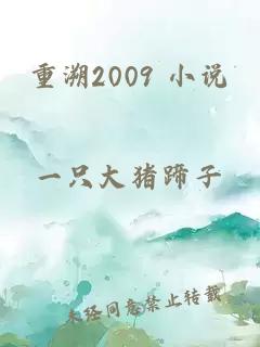 重溯2009 小说