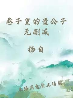 巷子里的贵公子无删减