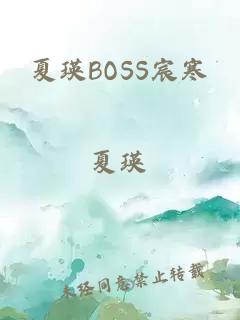 夏瑛BOSS宸寒