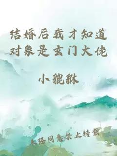 结婚后我才知道对象是玄门大佬