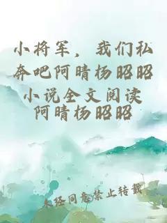 小将军，我们私奔吧阿晴杨昭昭小说全文阅读