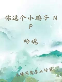 你这个小骗子 NP