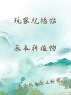 玩家祝福你