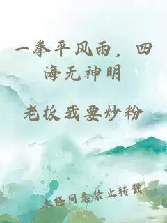 一拳平风雨，四海无神明