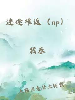 迷途难返（np）