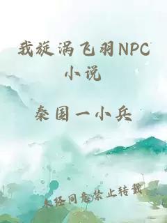 我旋涡飞羽NPC小说