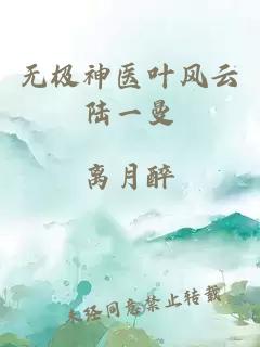 无极神医叶风云陆一曼